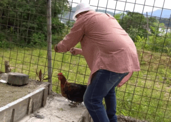 [COMPLETE] 497M0920 C303 Rechazó a sus suegros al saber que eran campesinos