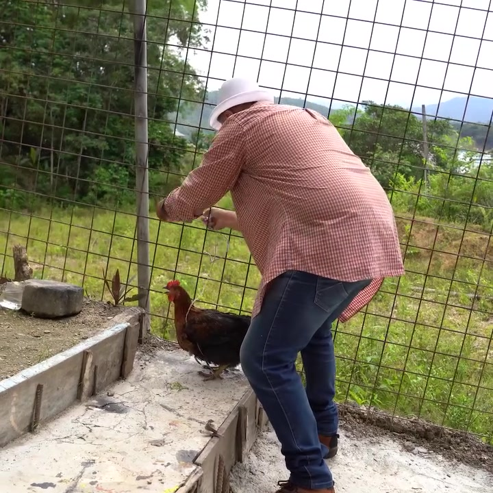 [COMPLETE] 497M0920 C303 Rechazó a sus suegros al saber que eran campesinos