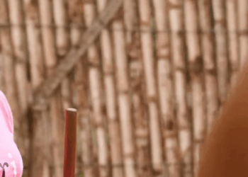 [COMPLETE] 470M0920 AQ346 su Abuela la casa con un millonario por Interes