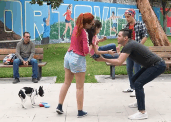 [COMPLETE] 442M0920 AQ318 La Pared Invisible confunde a la Gente