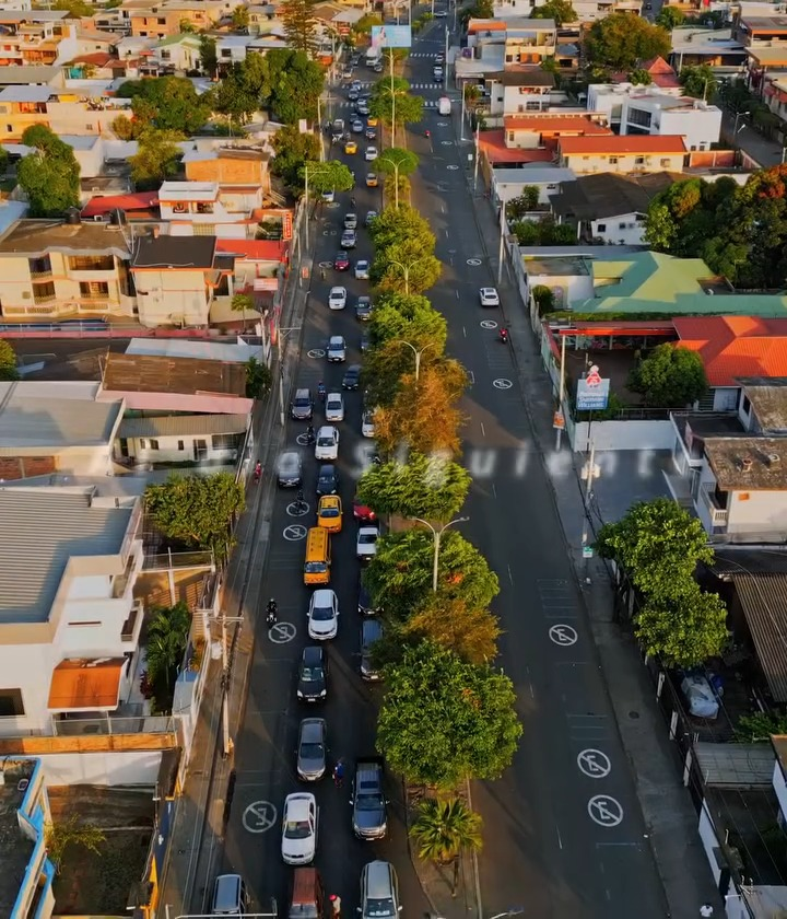 [COMPLETE] 324M0920 AQ200 Familia Adinerada es Encarcelada en su propia Casa por sus Empleados hasta que les paguen