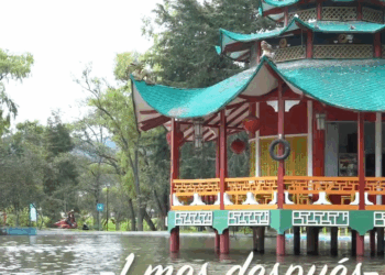 [COMPLETE] 121M0905 AF021 Millonaria se hizo pasar por vendedora de flores para encontrar el verdadero amor