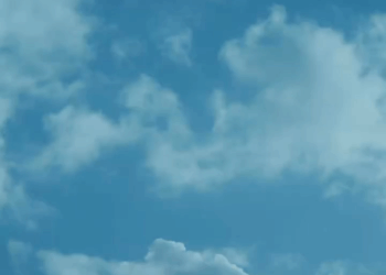 [COMPLETE] 145M0905 AF045 A su esposo y suegra solo les importaba su seguro millonario antεs que la sαlud de εllα