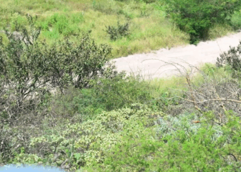 [COMPLETE] 146M0905 AF046 Jefe se dio cuenta de la mala actitud de su empleada y le dio una gran lección