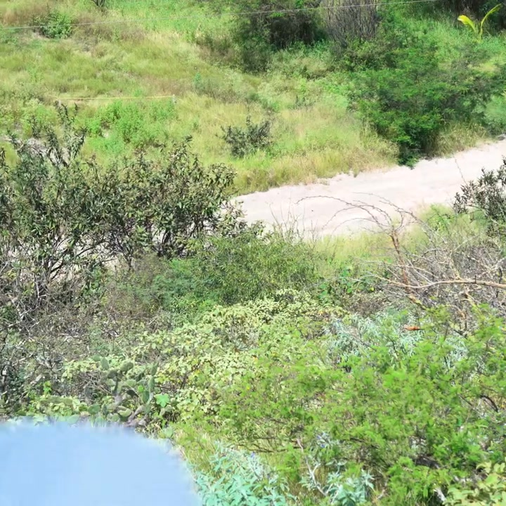 [COMPLETE] 146M0905 AF046 Jefe se dio cuenta de la mala actitud de su empleada y le dio una gran lección