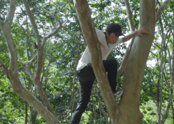 [COMPLETE] 163M0905 AF063 Episode (4)