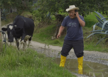 [COMPLETE] 220M0905 AF120 Descuidaba a su hijo sin imaginar los peligros que causaría