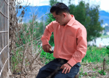 [COMPLETE] 522M0905 AF422 Hijo salva a personas inocentes de las injusticias de su padre