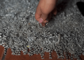 [COMPLETE] 442M0905 AF342 Suegro pone a pruebα al novio de su hija para descubrir su infidelidαd