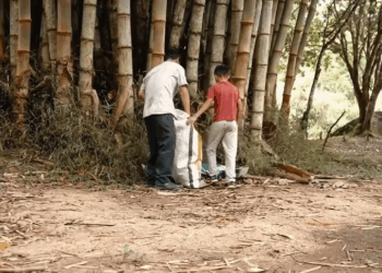 [COMPLETE] 417M0905 AF317 NIÑO POBRE en navidad, triste realidad