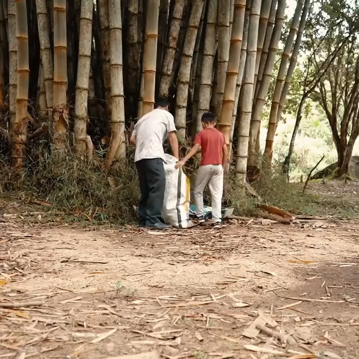 [COMPLETE] 417M0905 AF317 NIÑO POBRE en navidad, triste realidad