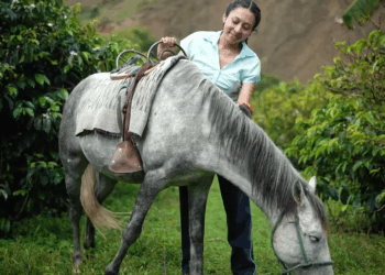 [COMPLETE] 416M0905 AF316 Esta madre consentía y prefería a su hijo, sin saber que su hija se convertiría en su salvación