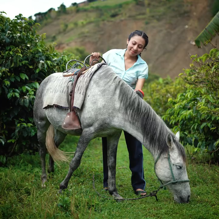 [COMPLETE] 416M0905 AF316 Esta madre consentía y prefería a su hijo, sin saber que su hija se convertiría en su salvación