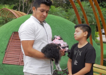 [COMPLETE] 410M0905 AF310 Niño pone a prueba el amor de su padrastro