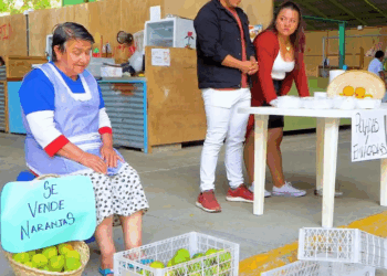 [COMPLETE] 358M0905 AF258 Se metieron con la abuela equivocada