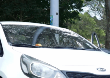 [COMPLETE] 350M0905 AF250 Prometió a su madre que cuidaría de sus hermanos, pero la vida le puso una dura prueba