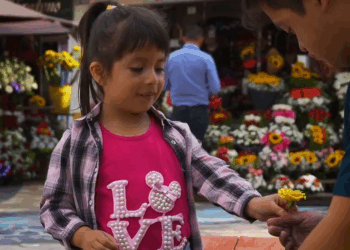 [COMPLETE] 534M0905 AF434 Dibujaba a su madre en el piso y lo juzgaban si saber su dolor