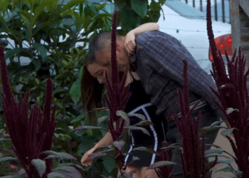 [COMPLETE] 532M0905 AF432 Por preferir a una de sus hijas término dándole una mala vida