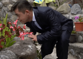 [COMPLETE] 309M0905 AF209 Su padre la obligó a casarse con un hombre al que no amaba pero su hijo la salvo