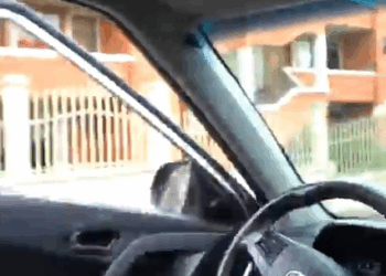 [COMPLETE] 550M0905 AF450 Las consecuencias de conducir bajo estado etílico pueden afectar a nuestros seres más cercanos