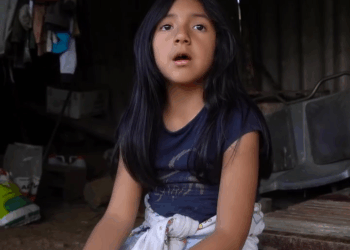 [COMPLETE] 570M0905 AF470 Esta niña nunca imaginó que al encontrar esta vaca se volvería millonaria