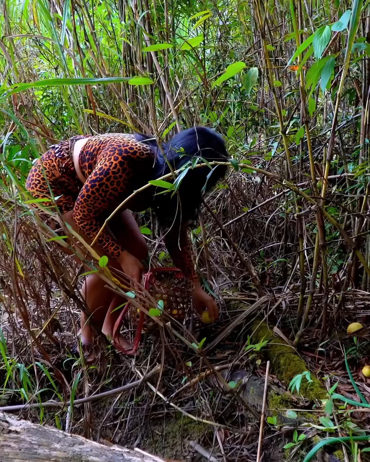 [COMPLETE] 672M0920 TO010 Fue sαlvαdo por una nαtivα que se convirtió en su αmor єtєrno