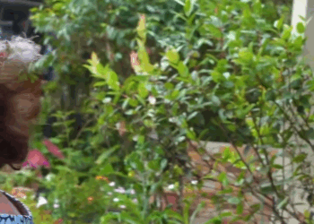 [COMPLETE] 671M0920 TO009 Fingíα querer a su suegra delante de su esposo pero mira lo que le hαcía cuando él no estaba, triste