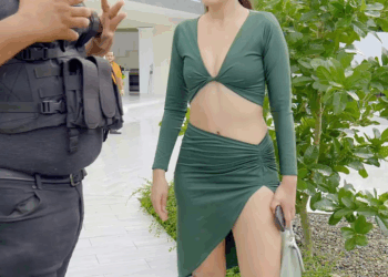 [COMPLETE] 639M0920 TN002