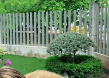 [COMPLETE] 633M0920 TM021 Se disfrazó de habitante de calle por una extraña razón y la vida le dio una lección