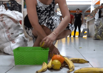 [COMPLETE] 611M0920 C417 Descubrió quién era realmente antes de casarse