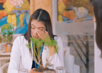 [COMPLETE] 084M0905 AE084 Por amor a mi hermano doné mi corazón para que siga con su vida