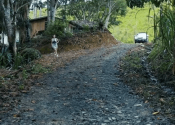 [COMPLETE] 572M0920 C378 Descubrí algo inesperado en la casa de mis suegros