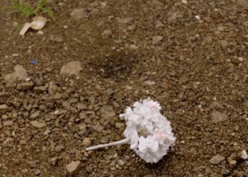 [COMPLETE] 125M0920 AQ001 Mujer Escapa de su Boda y se casa con el Taxista por despecho