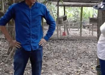 [COMPLETE] 549M0920 C355 Novio pone a prueba la humildad de su prometida