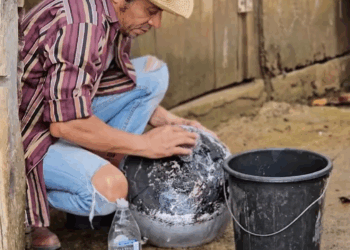 [COMPLETE] 285M1005 AH088 Se ganó la lotería luego de que su esposa lo dejara por ser pobre