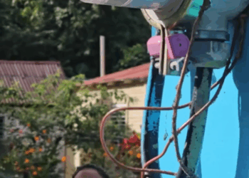 [COMPLETE] 283M1005 AH086 Vecina muy aprovechada quería vivir de lujos con el trabajo de otro, ni la luz quería pagar