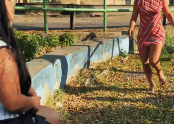 [COMPLETE] 181M1005 AG181 A coragem a ajudou sair dessa