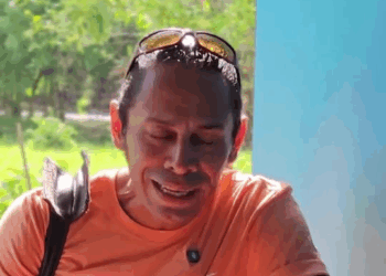 [COMPLETE] 312M1005 AH115 La vecina quería que le dieran la comida obligatoriamente, pero hasta ese día llegó con eso