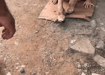 [COMPLETE] 178M1005 AG178 Não descansou até ter sido feito a coisa certa