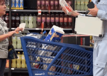 [COMPLETE] 373M1005 AL035 millonario llena carro de mercado si no escoges estos productos