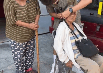 [COMPLETE] 471M1005 AL133 logramos que una abuelita de 85 años volviera a escuchar