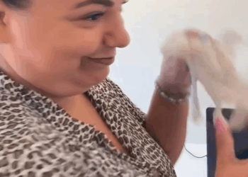 [COMPLETE] 054M1005 AG054 Fez tudo para conseguir o emprego dos sonhos, mas tudo era uma armadilha