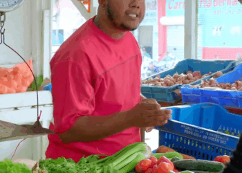 [COMPLETE] 510M1005 AN010 Así fue como descubrí que este vendedor engañaba a sus cliente