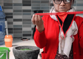 [COMPLETE] 586M1005 AN086 Nunca imaginó que su suegra le hiciera perder a su bebé