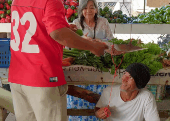 [COMPLETE] 566M1005 AN066 Así fue como descubrí que este vendedor engañaba a los cliente